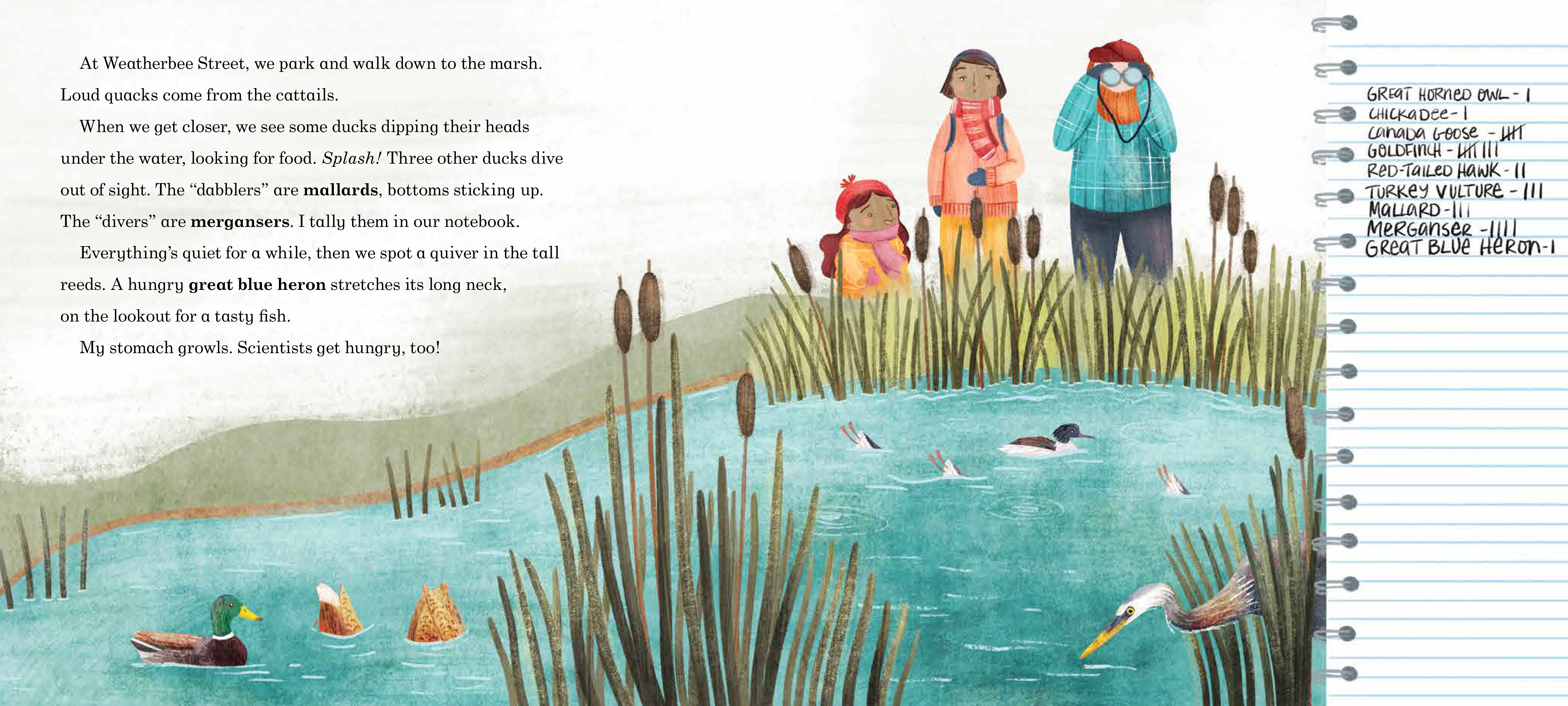 Bird Count_interior-10